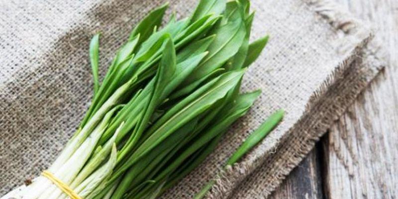 หัวหอมป่า