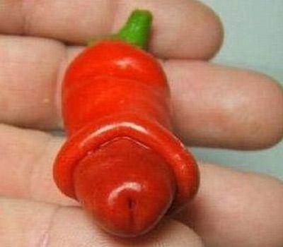 ชิลลี่วิลลี่