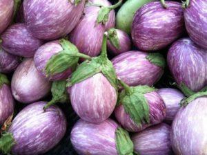 80 meilleures variétés d'aubergines pour différentes régions avec descriptions et caractéristiques