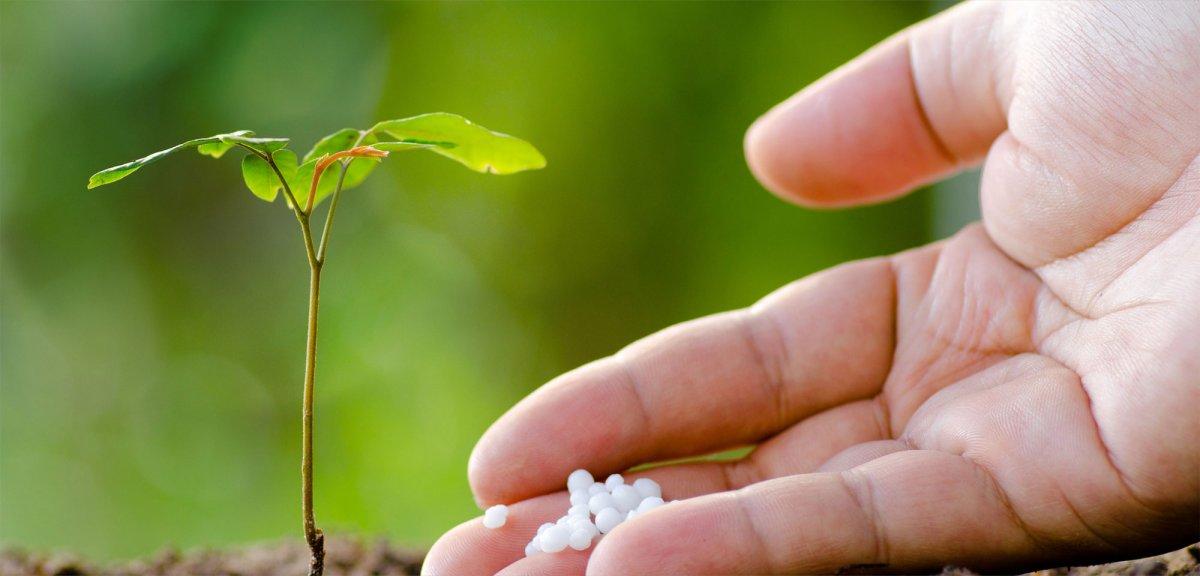 ปุ๋ยธาตุอาหารเสริมสำหรับสวน