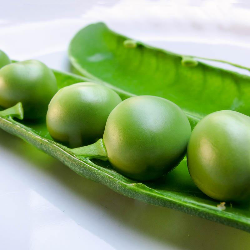 น้ำตาลสำหรับเด็ก