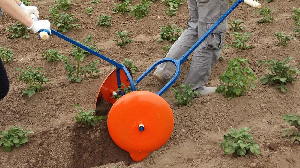 การพรวนดินมันฝรั่ง