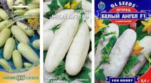 Description et caractéristiques des meilleures variétés de concombres blancs, les subtilités de la culture