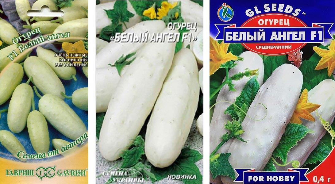 เมล็ดแตงกวา