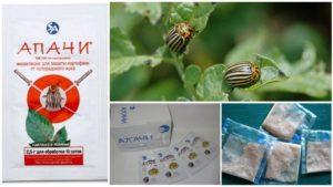 คำแนะนำในการใช้ยา Apache เพื่อกำจัดแมลงมันฝรั่งโคโลราโด วิธีการเจือจาง