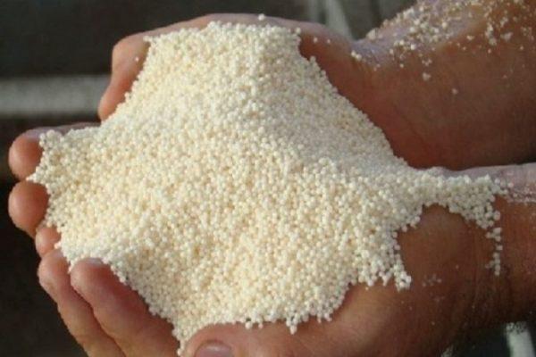 แอมโมเนียมซัลเฟต