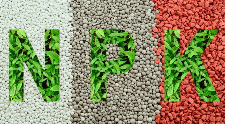 ปุ๋ยต่างๆ