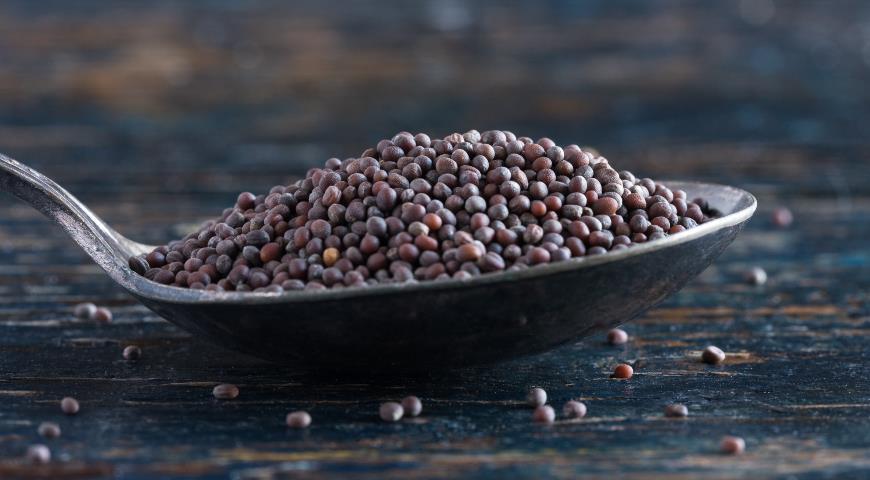 วิธีการรับเมล็ดกะหล่ำปลี