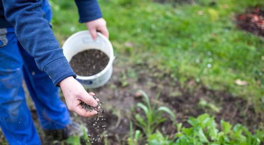 ปุ๋ยซุปเปอร์ฟอสเฟต