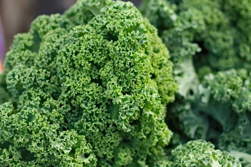 ทินโตเรตโตหยิก