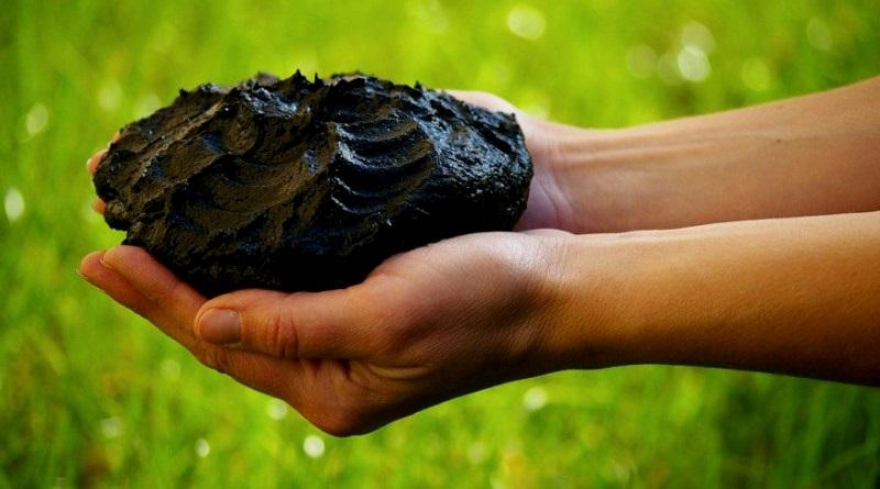 ซาโปรเพลเป็นปุ๋ยในมือ