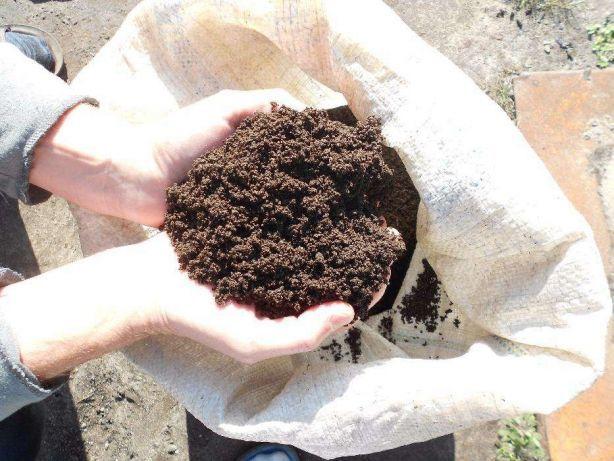 ปุ๋ยหมักไส้เดือน