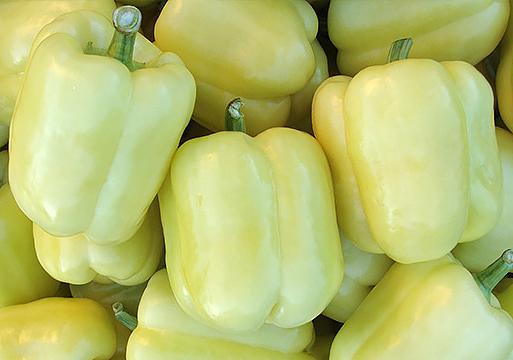 พริกบลอนดี้ F1