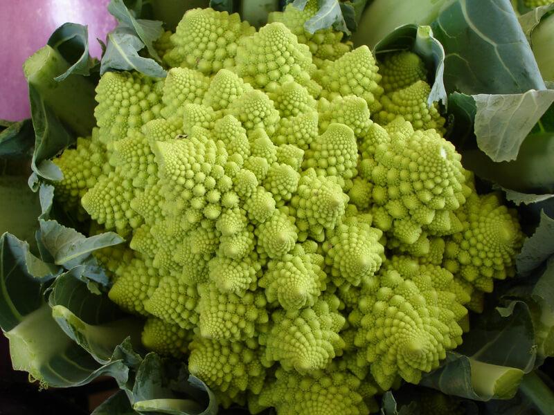 variétés de brocoli