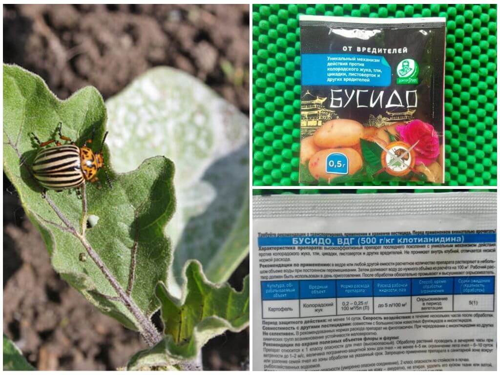 ยาบูชิโด