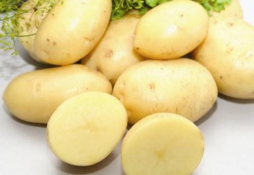 มันฝรั่งคาราทอป