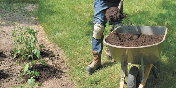 ปุ๋ยหมักในพลั่ว