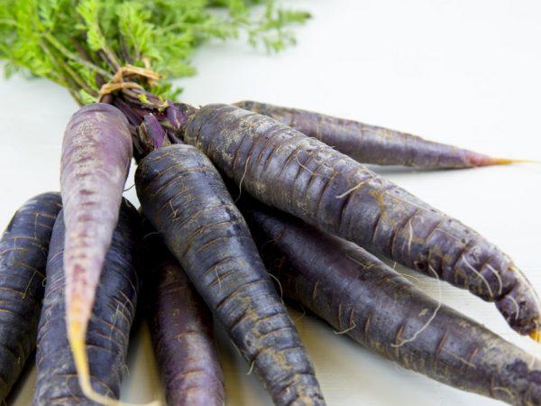 แครอทดำ