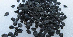 การเลือกพันธุ์หอมดำ การปลูกและดูแล และวันเก็บเกี่ยว