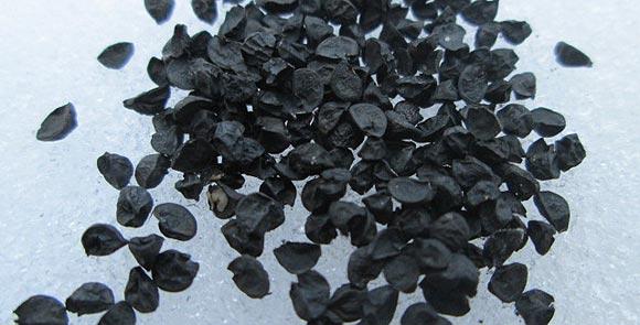 เมล็ดไนเจลลา