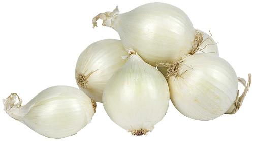 oignon blanc