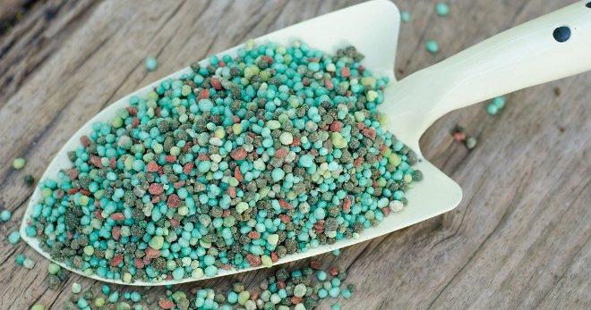 ปุ๋ยในพลั่ว