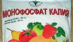 Application du monophosphate de potassium pour l'alimentation foliaire des pommes de terre