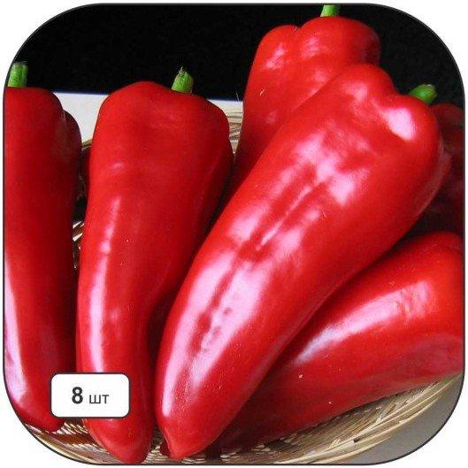 พริกไทยซาแมนเดอร์