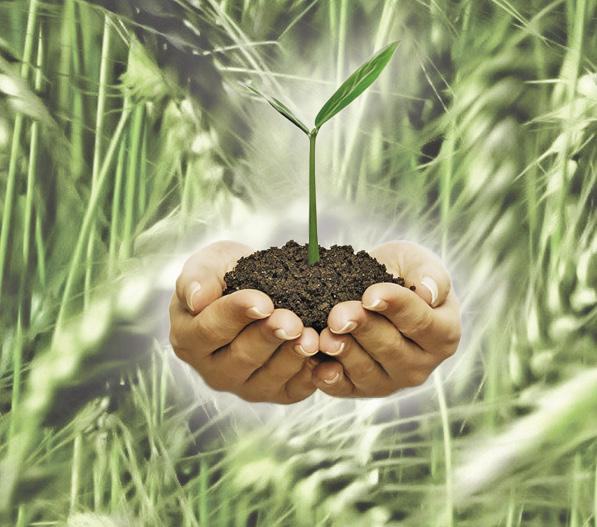 ปุ๋ยไมโครแมงกานีส