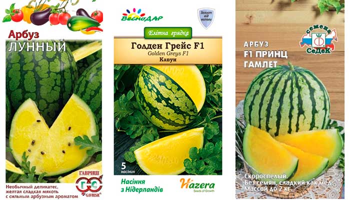 เมล็ดแตงโม