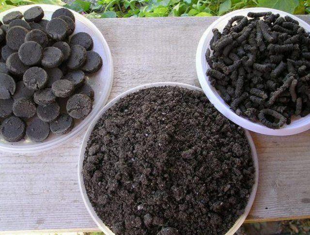 ซาโปรเพลที่แตกต่างกัน