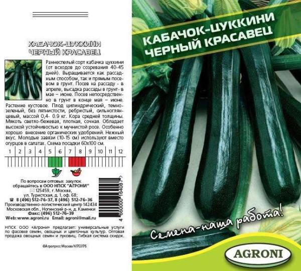 ความงามสีดำ