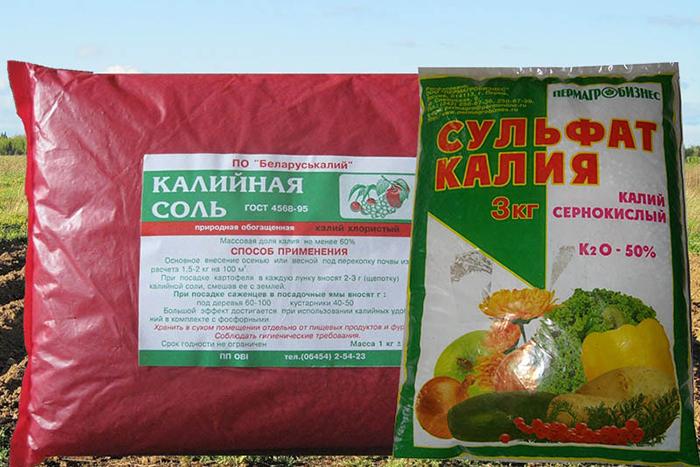 เกลือโพแทสเซียม