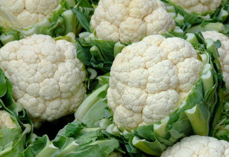 สโนว์บอล คอสตา