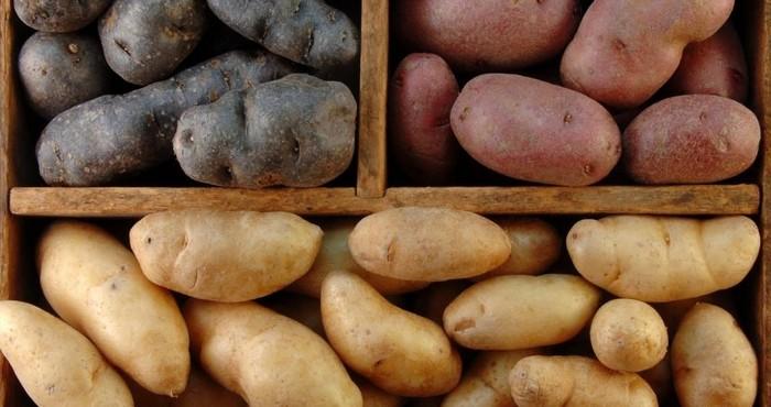 มันฝรั่งอ่อน