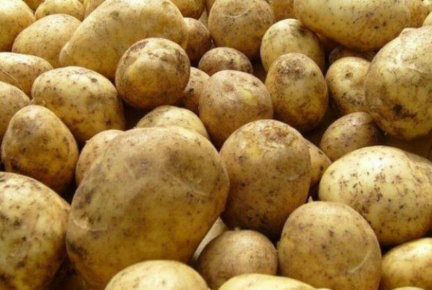 มันฝรั่งอิมพาลา