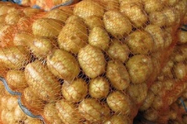 ขนมปังมันฝรั่ง