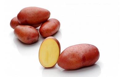 มันฝรั่งอ่อน