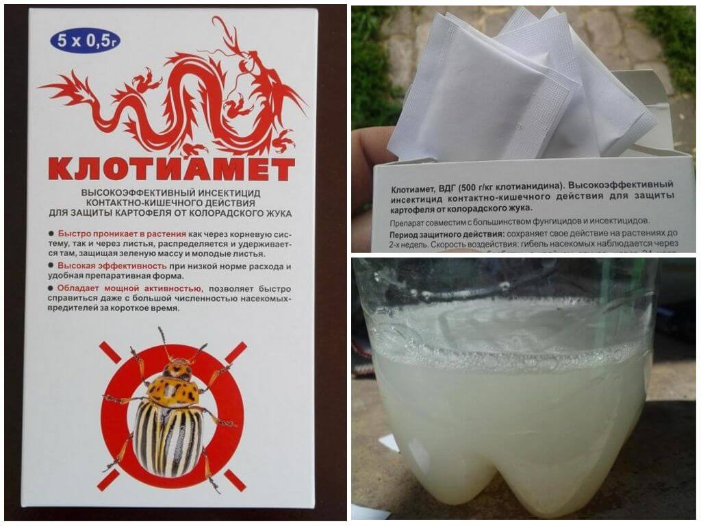 Clotiamet contre les coléoptères