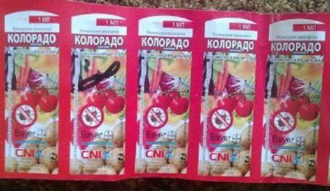 Colorado du doryphore de la pomme de terre