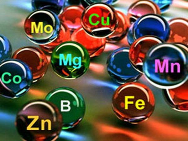 ปุ๋ยไมโคร "ซิแซม"