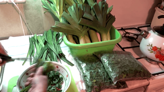 กระเทียมหอม