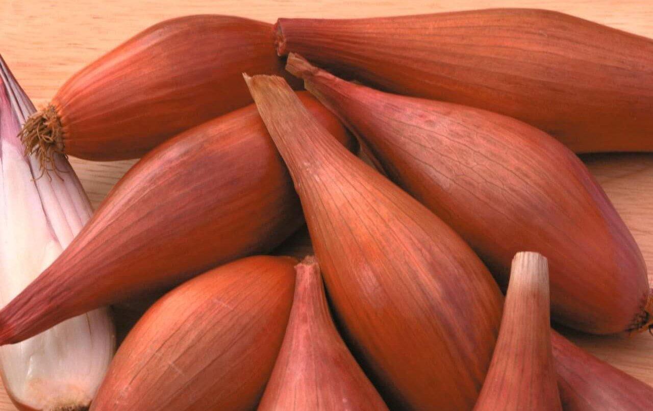 น้ำตกยุคแรก