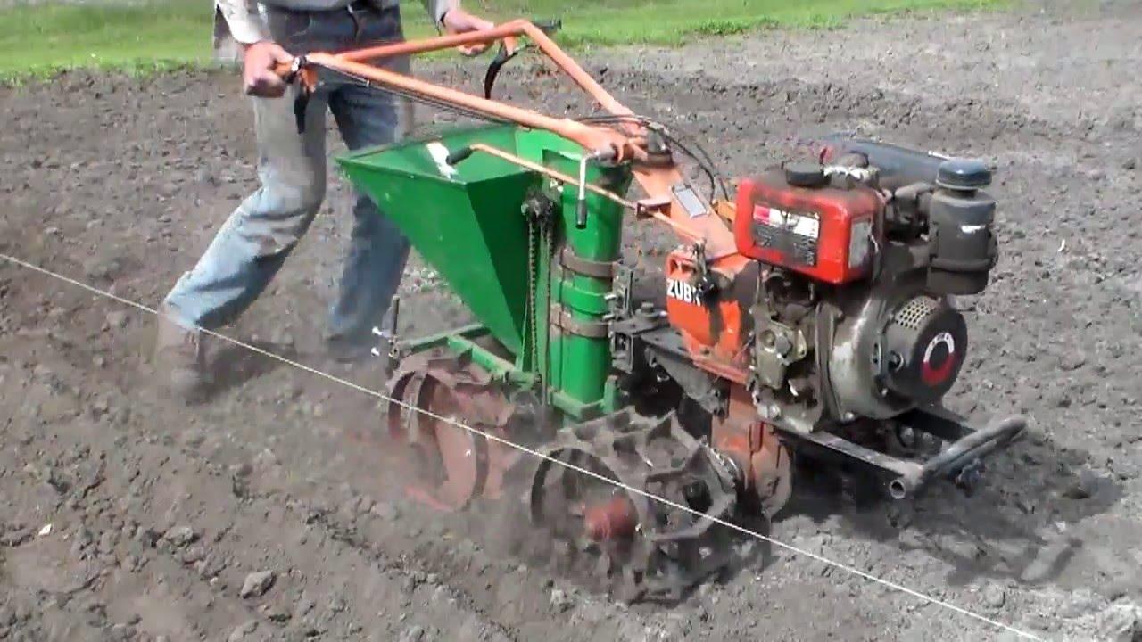 Planteuse de pommes de terre dans le jardin