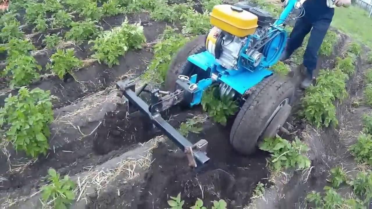 buttage de pommes de terre