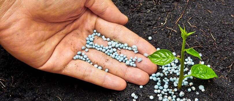 ปุ๋ยไมโคร "โบโร-เอ็น"