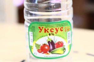 วิธีกำจัดกะหล่ำปลีด้วยน้ำส้มสายชู ผสมเจือจางฉีดพ่น