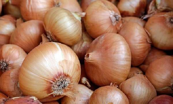 หัวหอมเยอะมาก