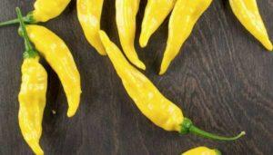 พริกขี้หนูพันธุ์ดี 35 ชนิด พร้อมคำอธิบายและลักษณะเด่น