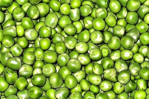 ถั่วจำนวนมาก